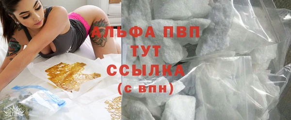 прущие грибы Балахна
