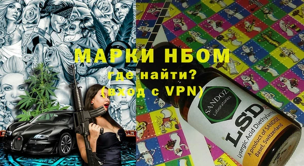 прущие грибы Балахна