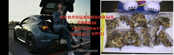 ALPHA PVP Баксан