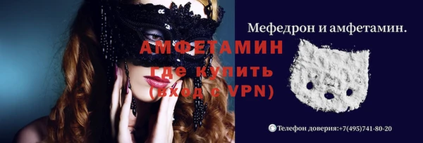 прущие грибы Балахна