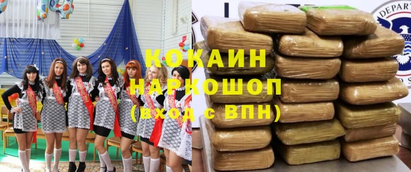 прущие грибы Балахна