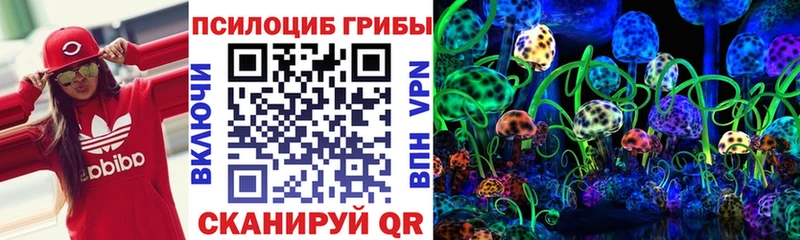 Псилоцибиновые грибы мицелий  Лабытнанги 